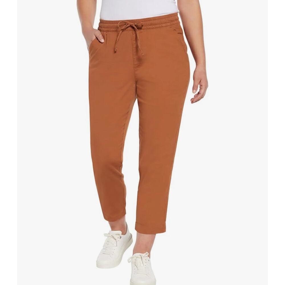 GAP Women Easy Pull On Elastic Drawstring Pant Waist Ankle Tencel Gingerbread XS